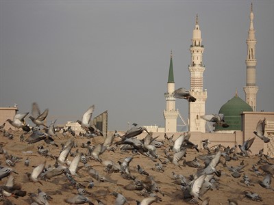 مسجد النبی11